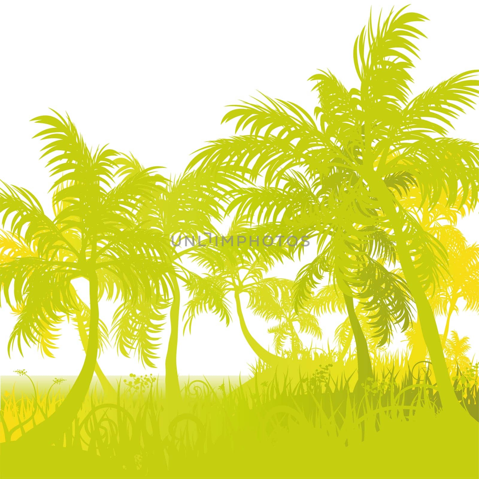 Blades of grass,stand and palm trees