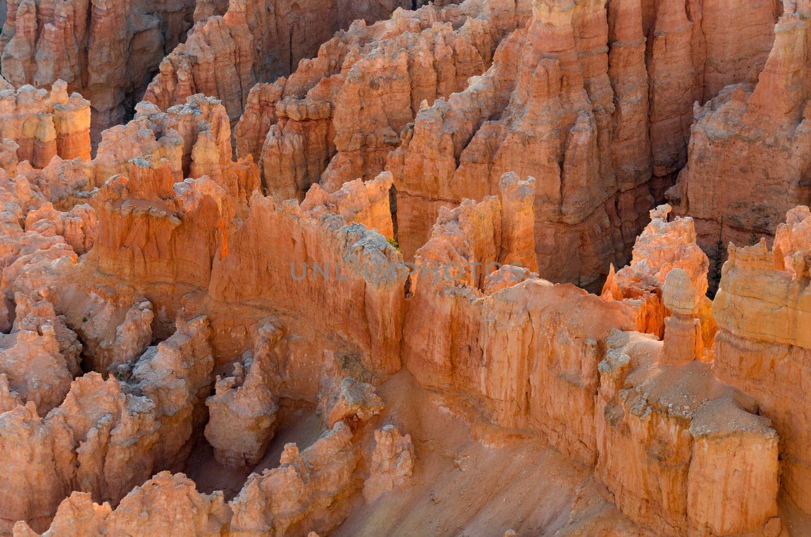 Sunrise in Bryce Canyon National Park in Utah in the United States of America