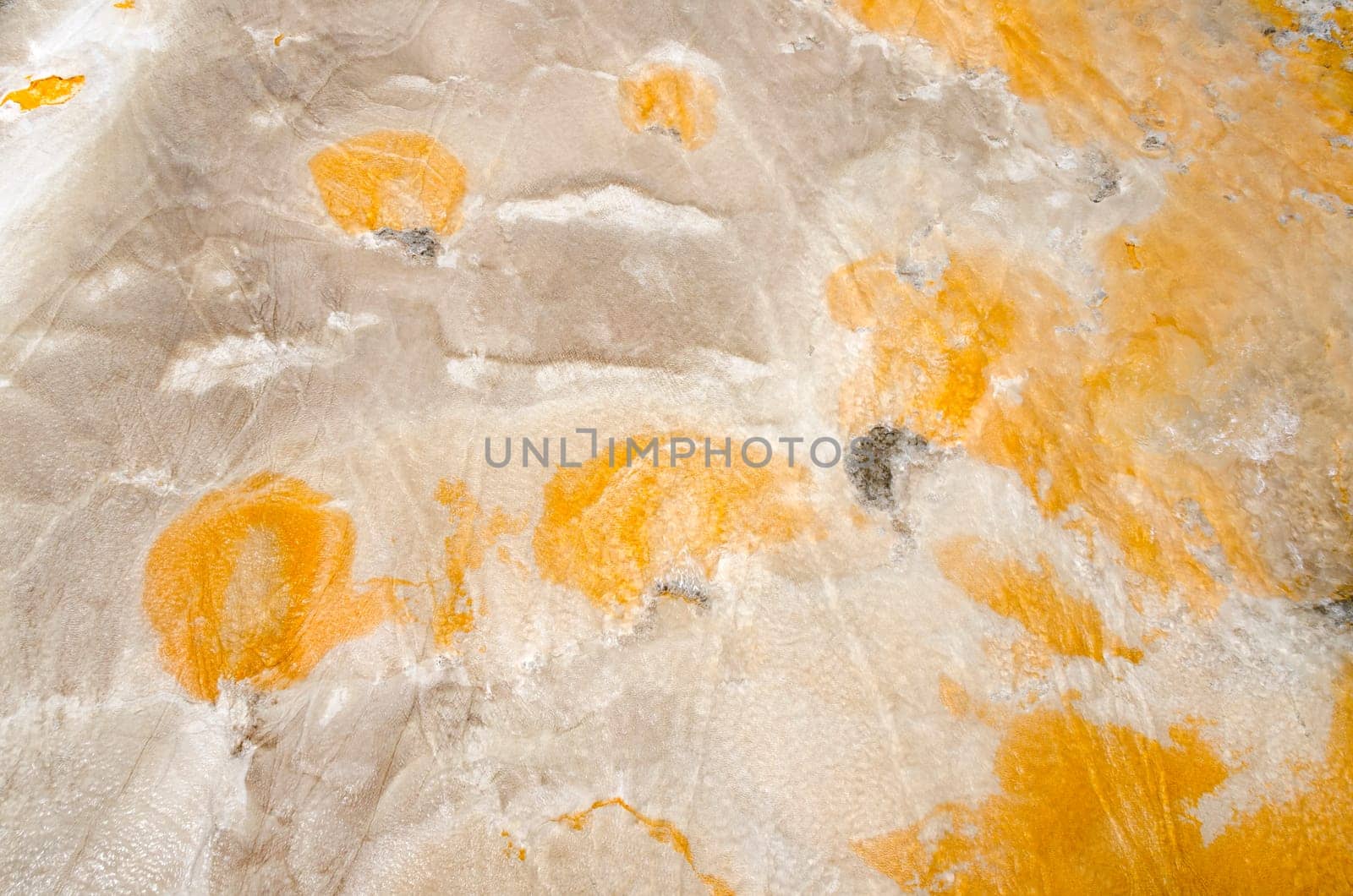 colors close to Geyser in Yellowstone National Park in Wyoming in the United States of America