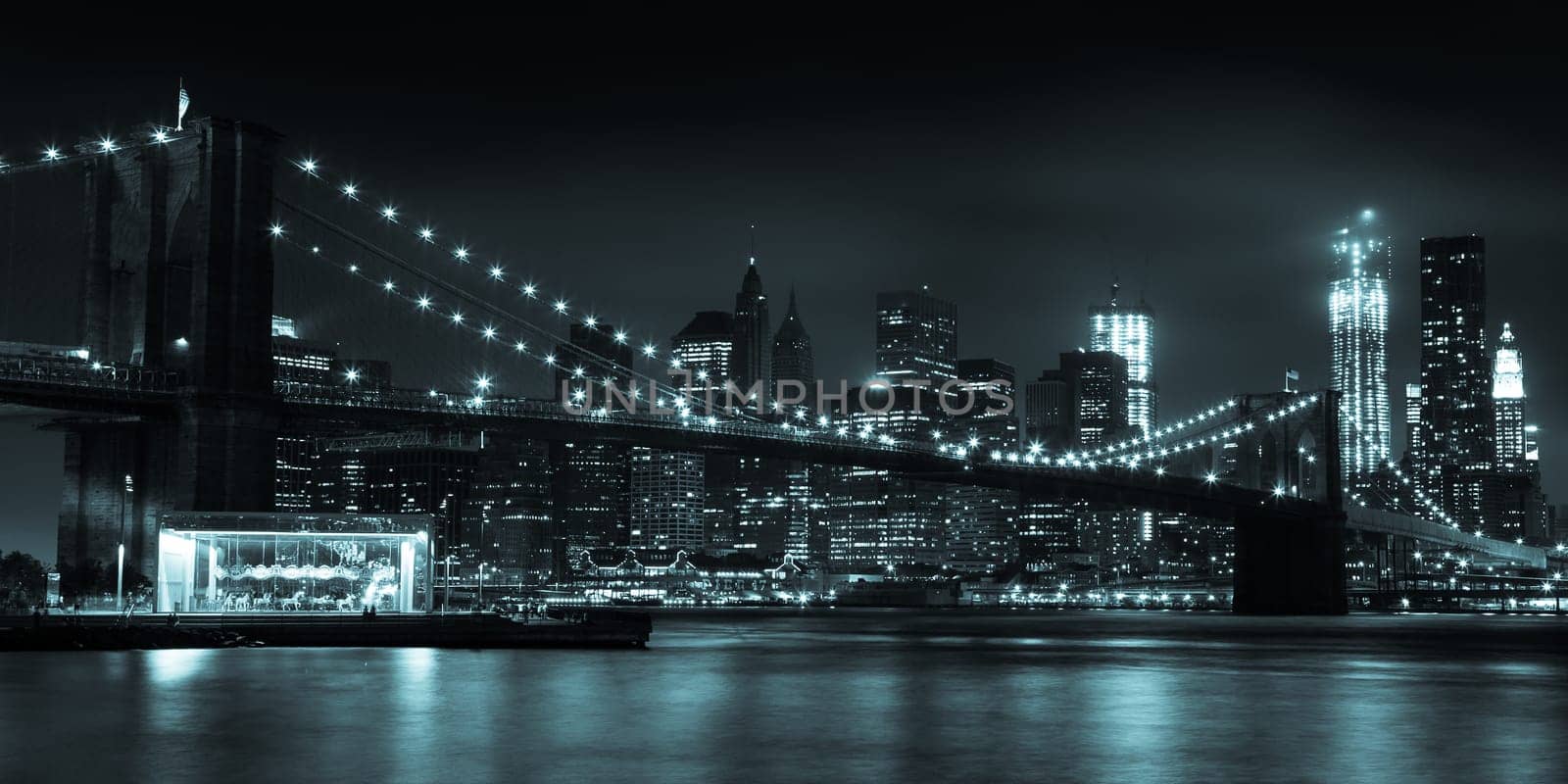 Manhattan skyline by night from Brooklyn bridge park - USA