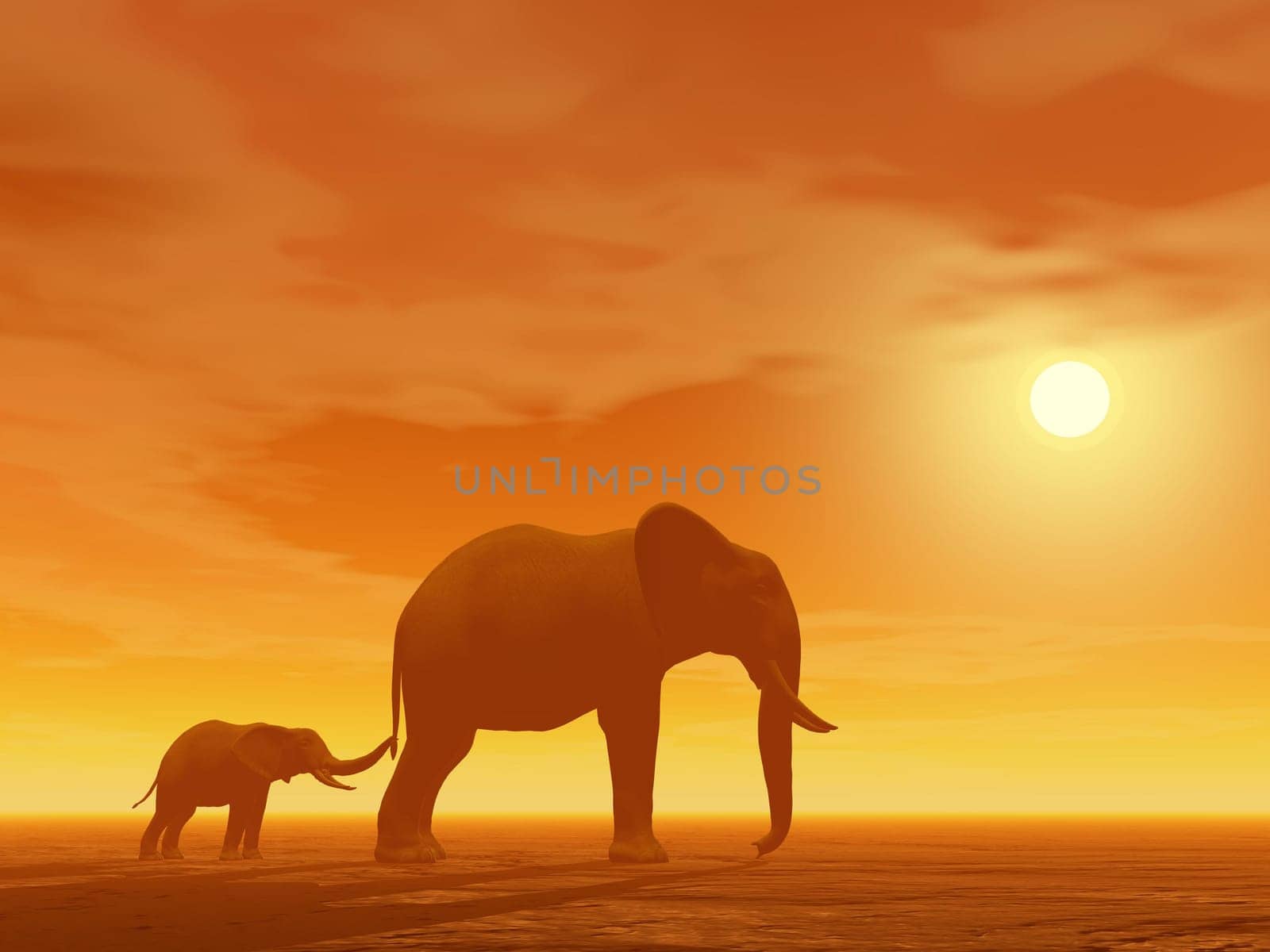 Little elephant holding its mum&#039 s queue by sunset