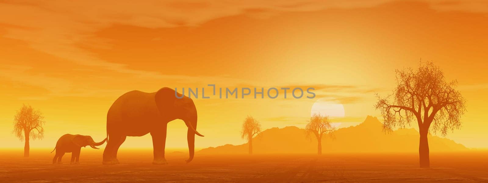 Little elephant holding its mum&#039 s queue in the savannah with baobabs by sunset