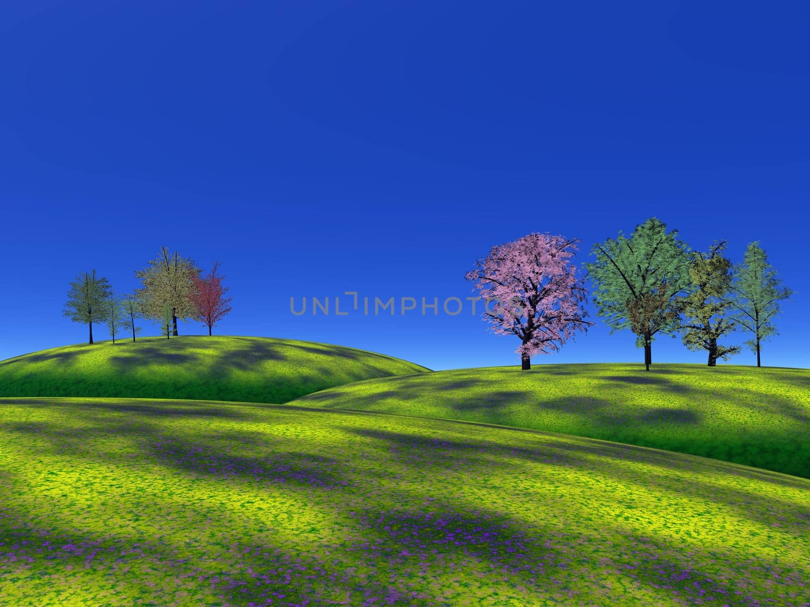 Several trees on green hills with deep blue sky