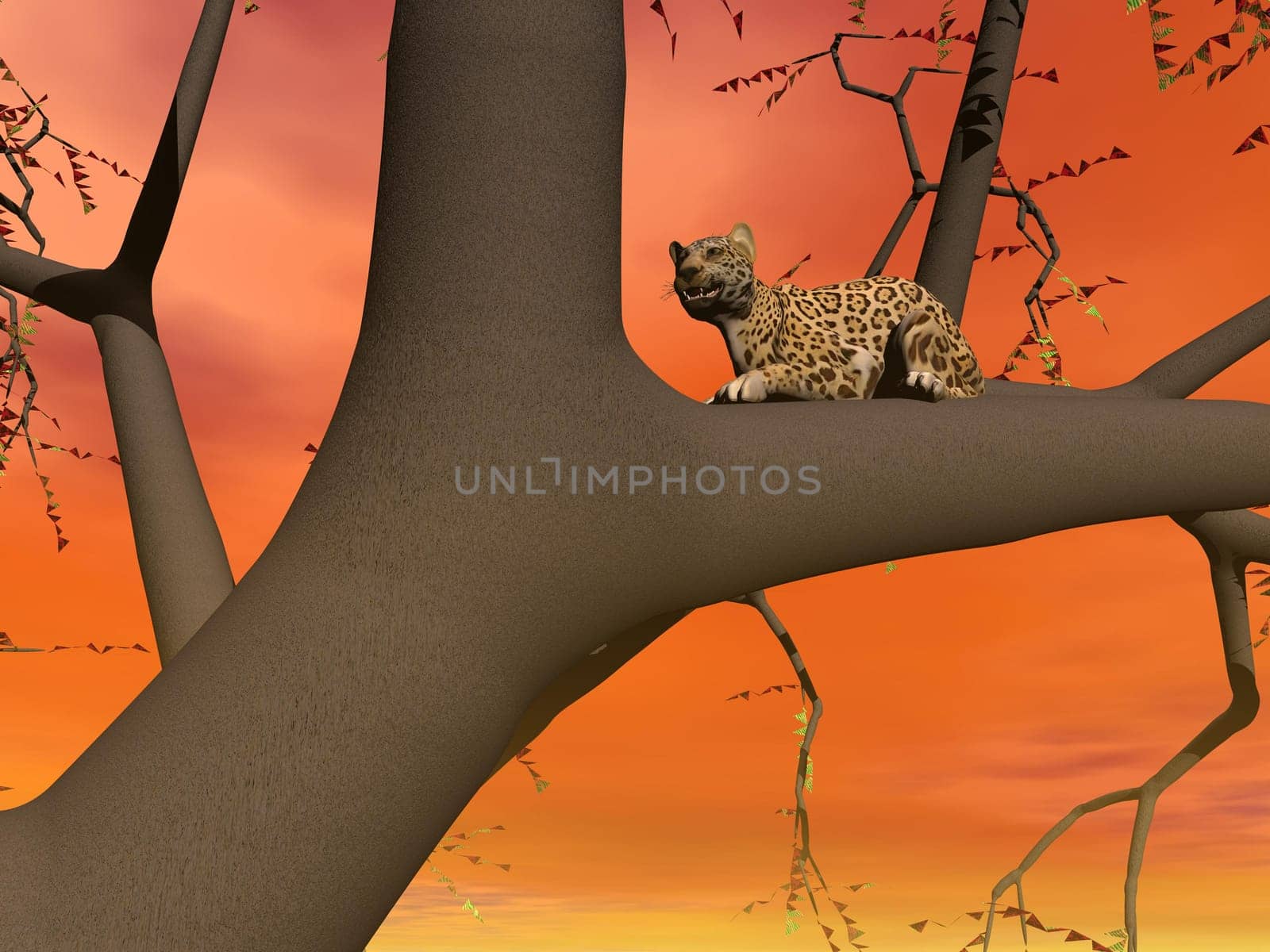 Panther sitting on the branch of a tree by sunsetorange light