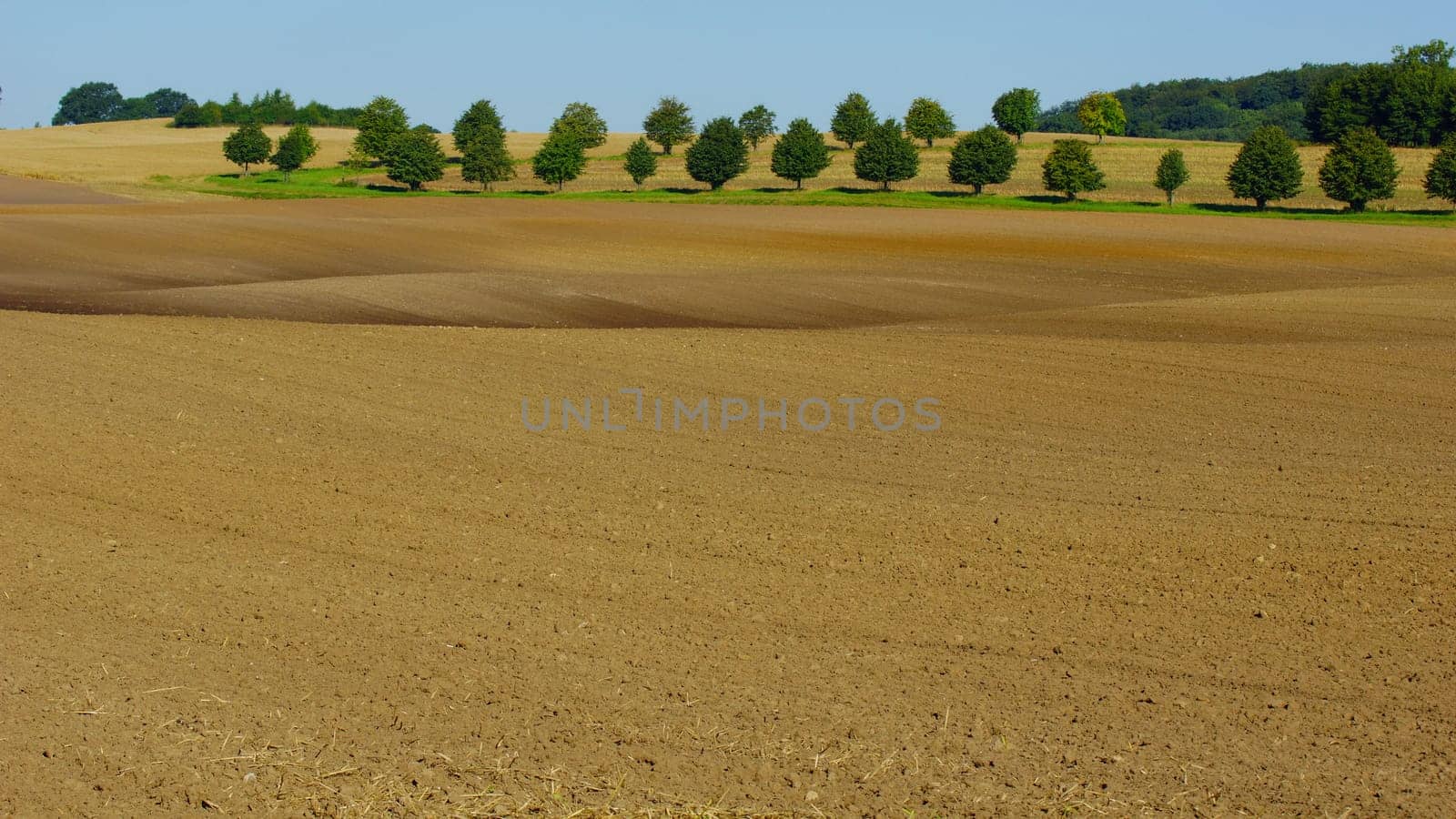 Background Agriculture