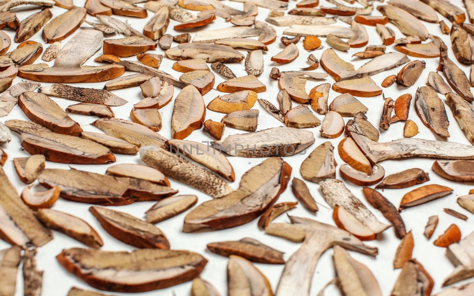 Drying freshly picked forest mushrooms - orange cup scaber stalk - cut to thin slices, on white paper by Ivanko