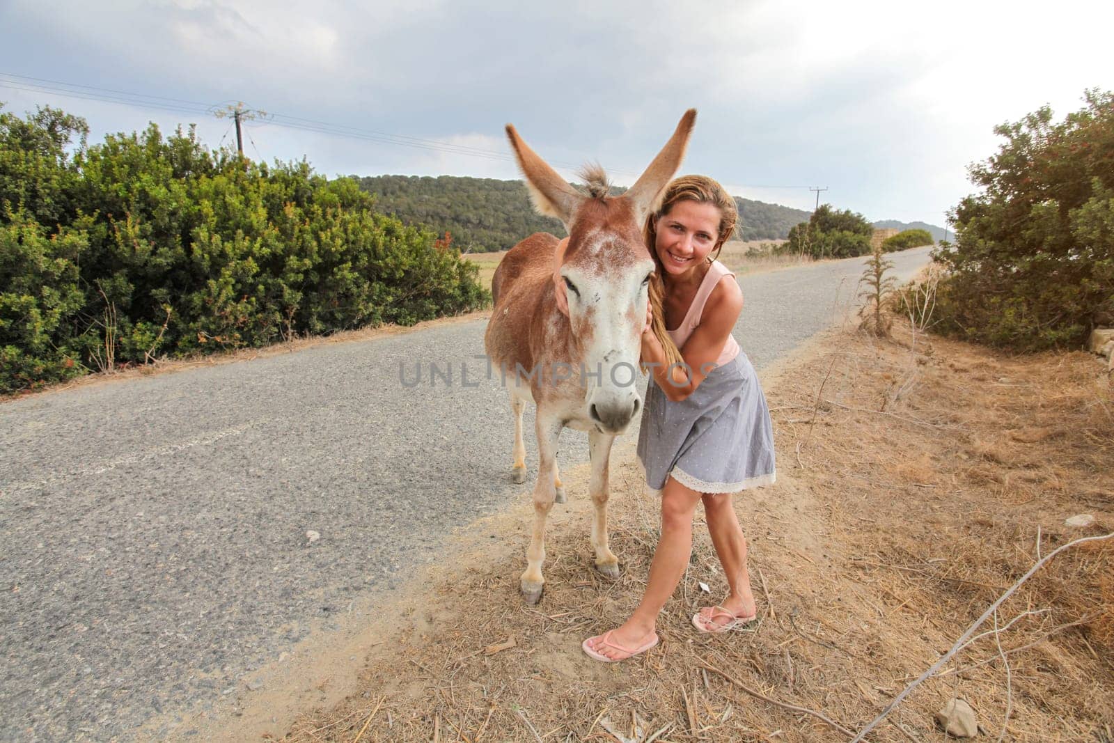 Young woman smiling, posing  with wild donkey, giving him hug. These animals roam freely in Karpass region of Northern Cyprus by Ivanko