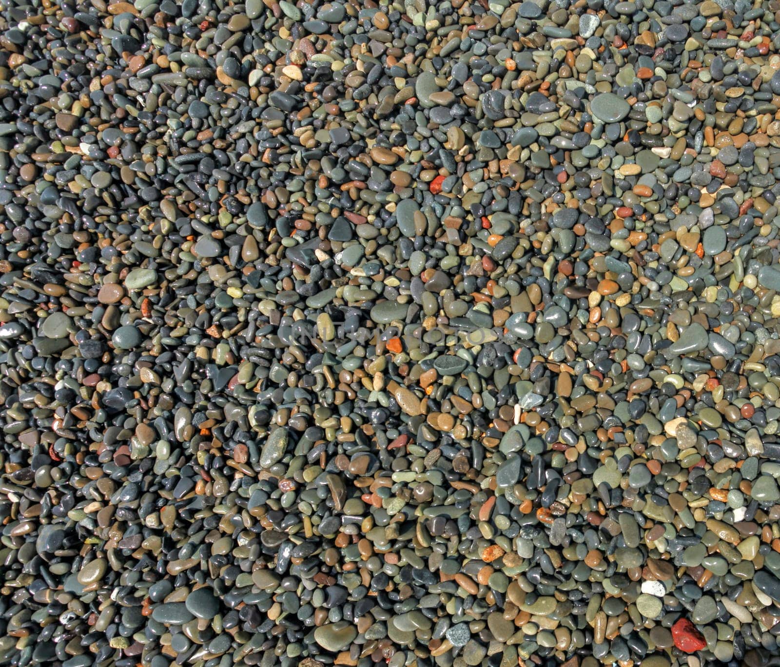 Top view, sun shining on small wet pebbles on beach