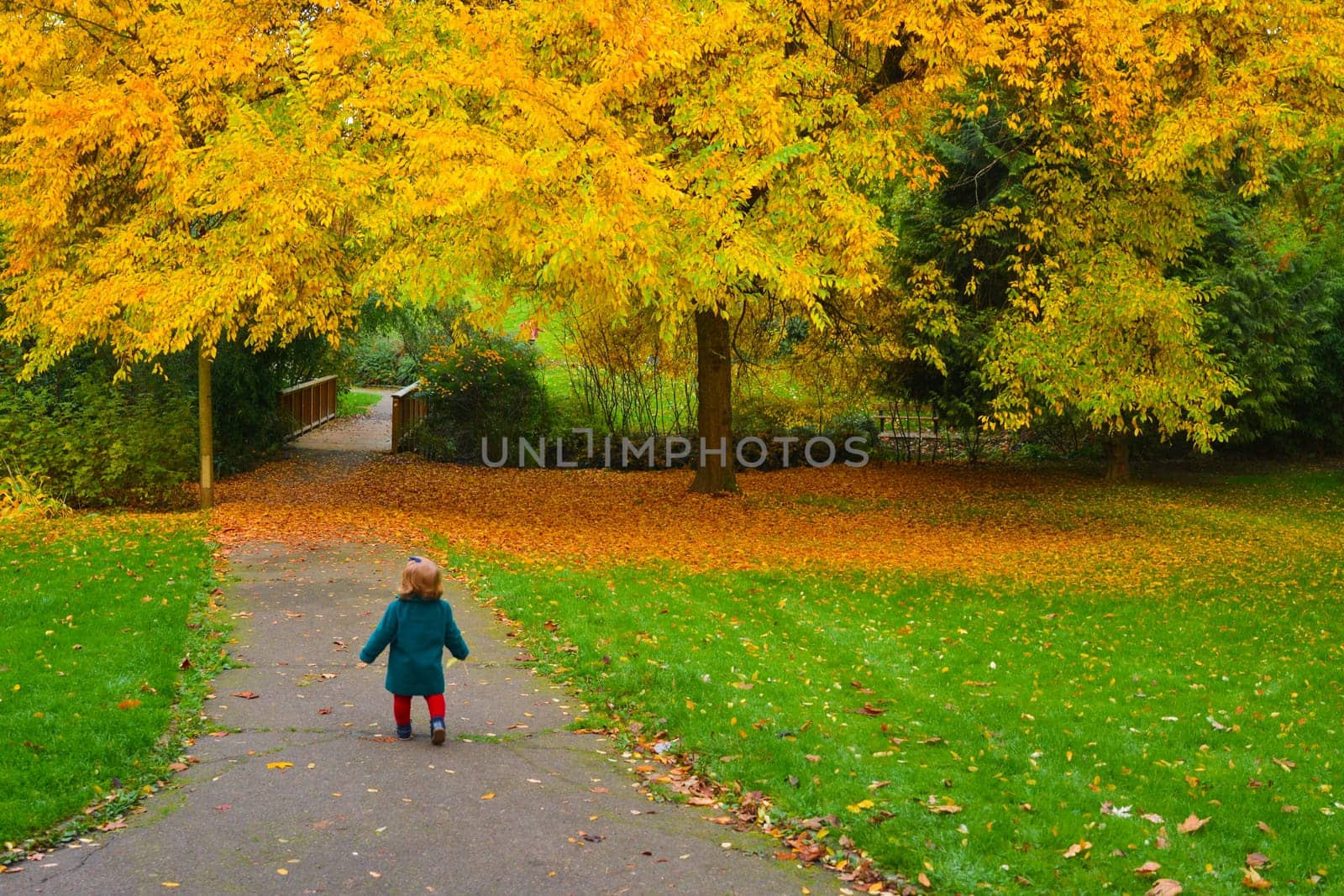 Autumn. Little girl runs away in a park with yellow trees and fallen leaves