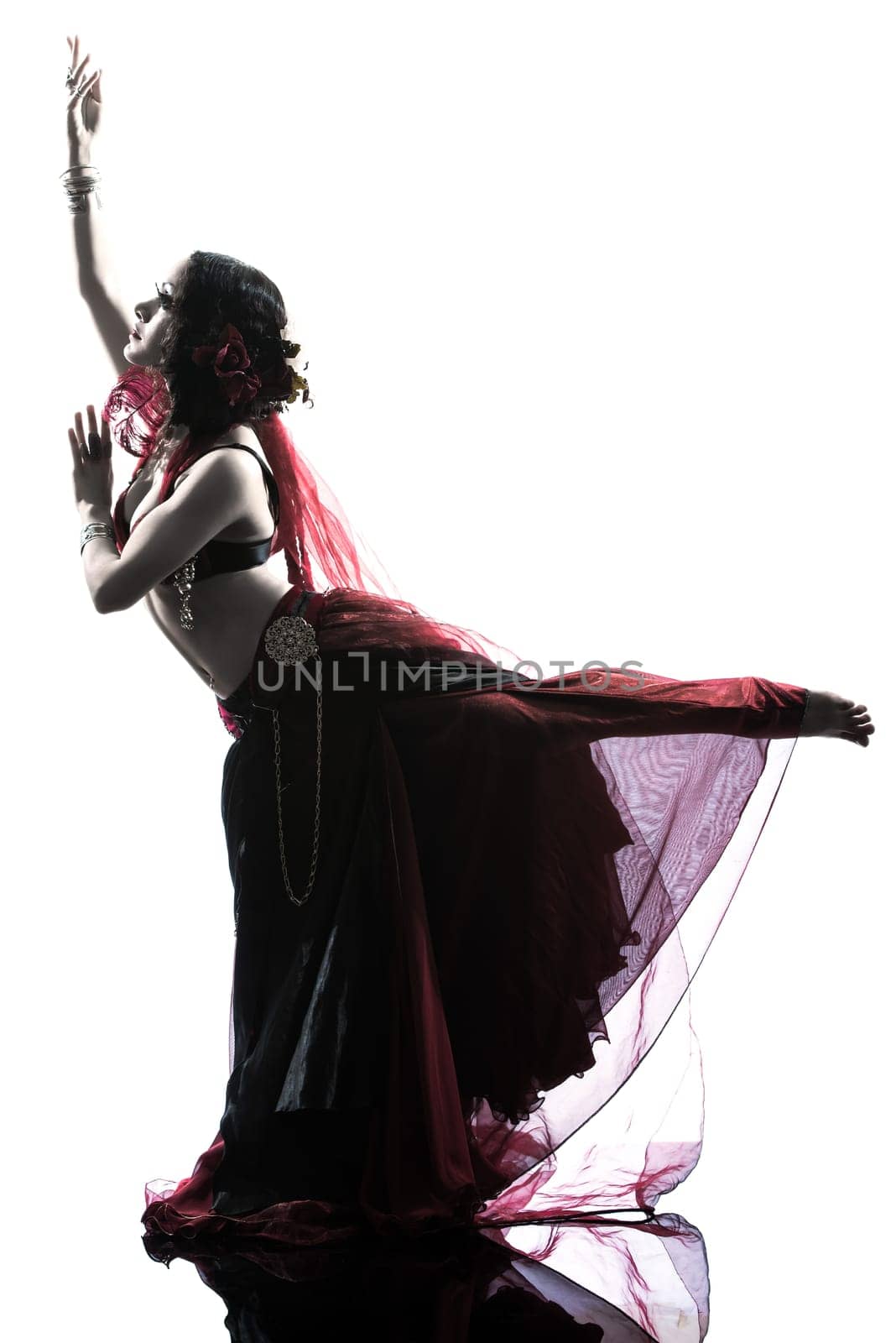 one arabic woman belly dancer dancing silhouette studio isolated on white background