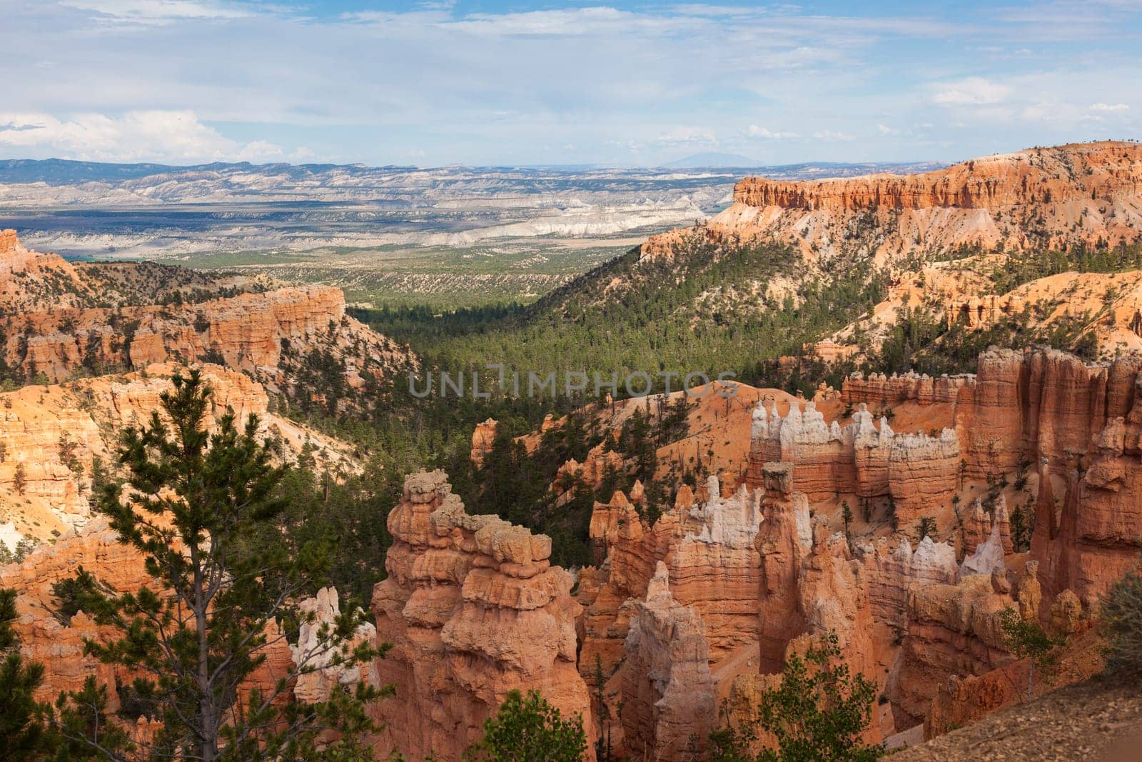 Geological formations in Bryce canyon national park in Utah  - USA