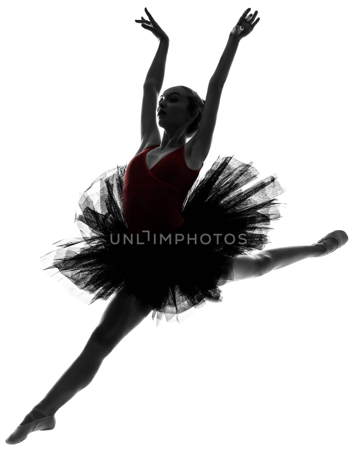 one caucasian young woman ballerina ballet dancer dancing with tutu in silhouette studio on white background