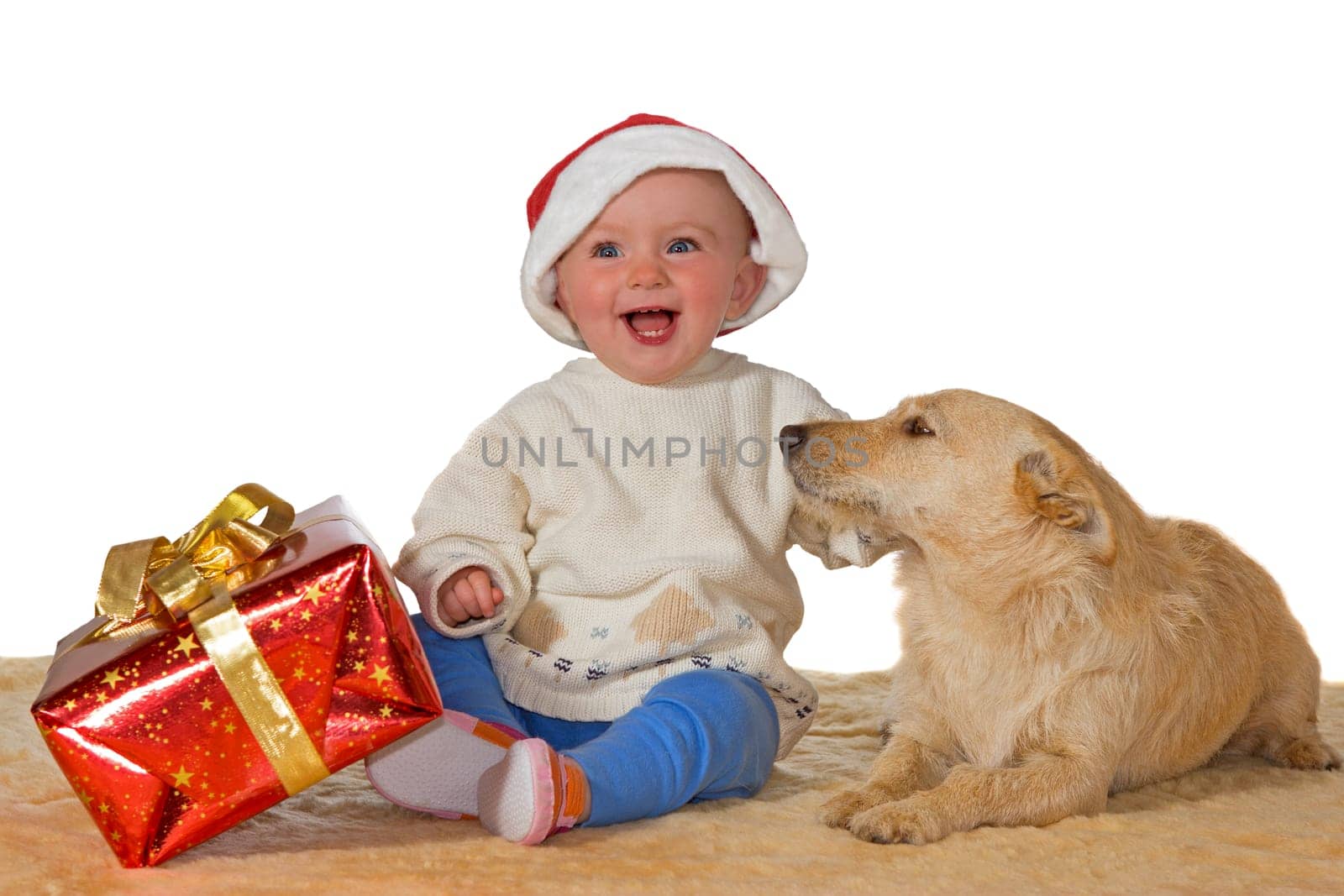 Merry little baby with a beaming smile wearing a Santa hat sitting on the floor with a large red gift enjoying Christmas with the family dog