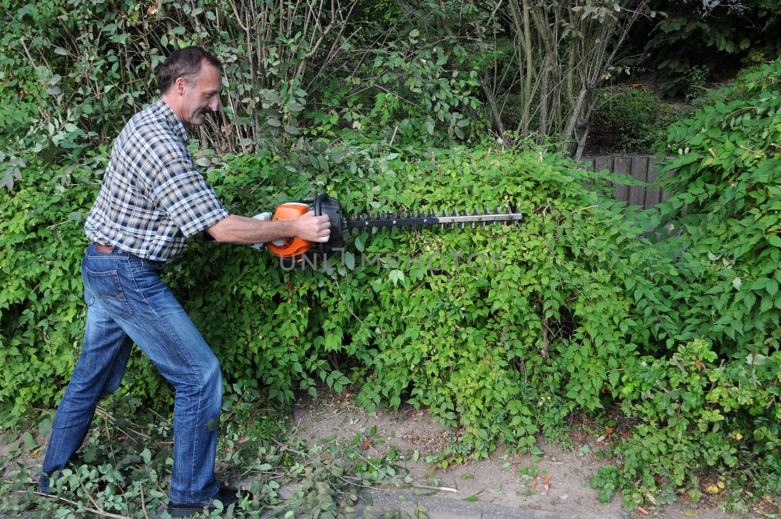 Cutting hedges
