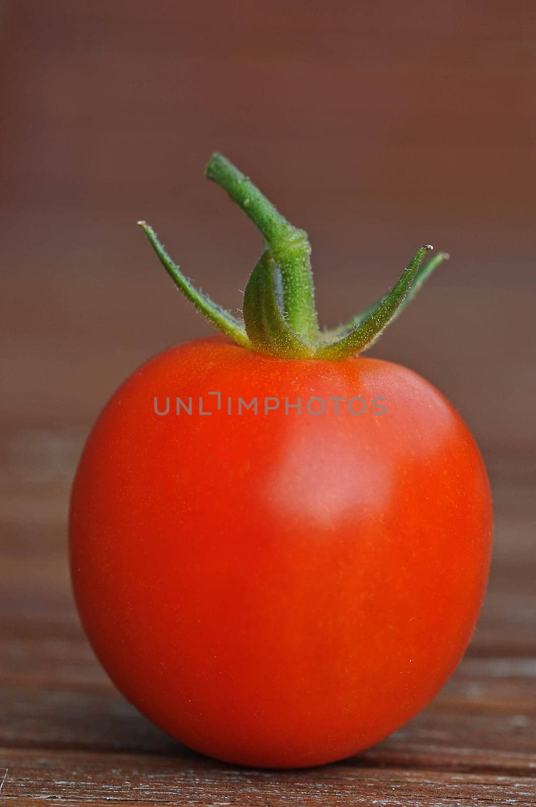 Tomato