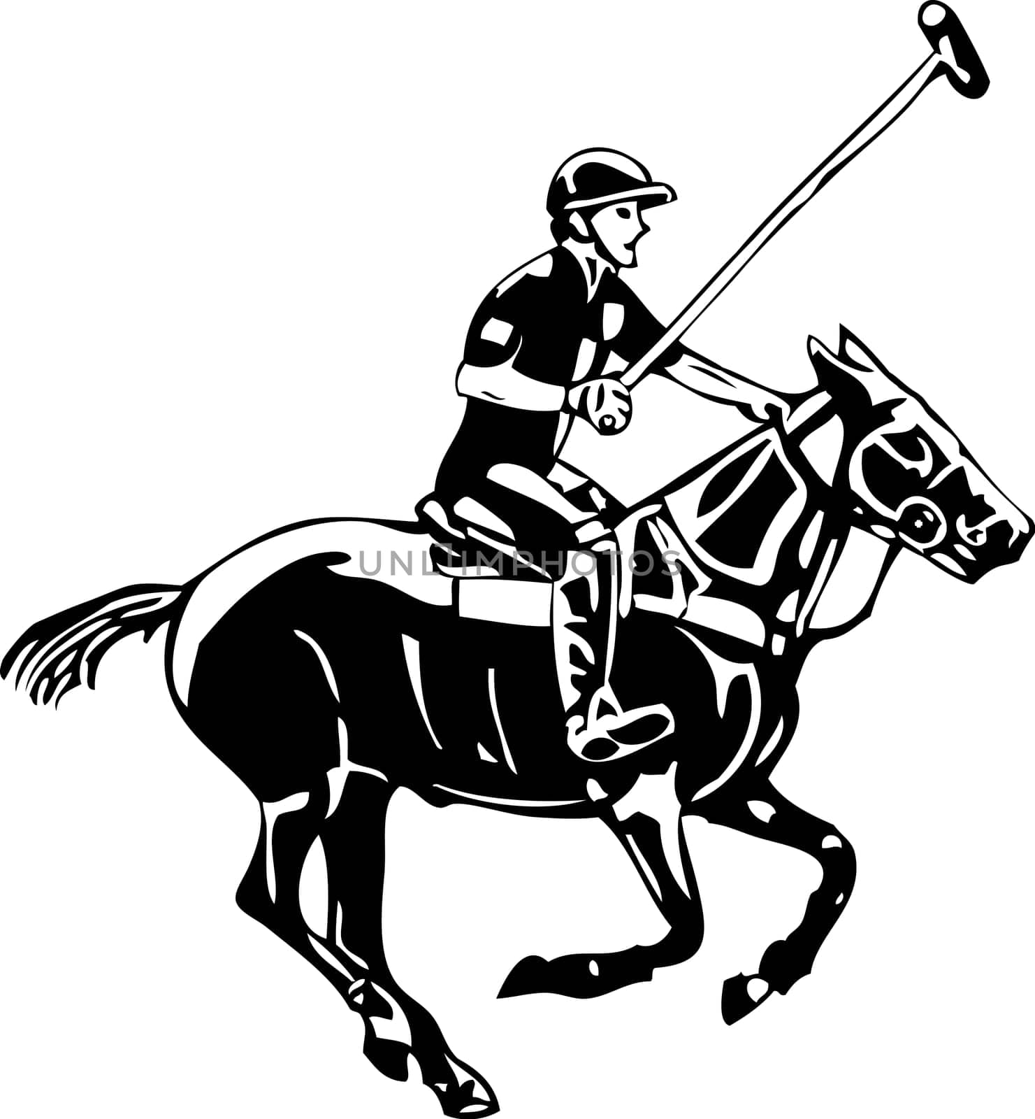 vector - Polo horse and player, isolated on background