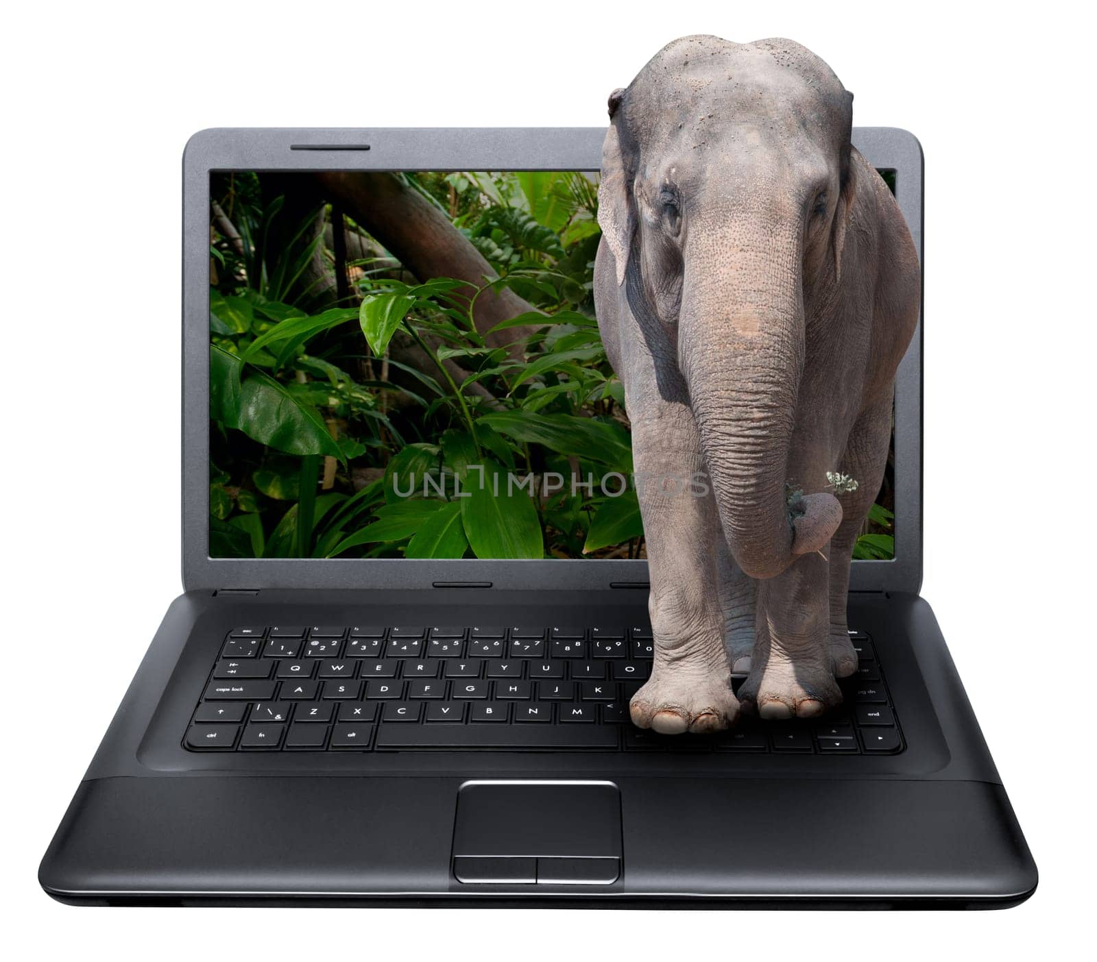 3D Notebook With Elephant on the Screen - isolated on White