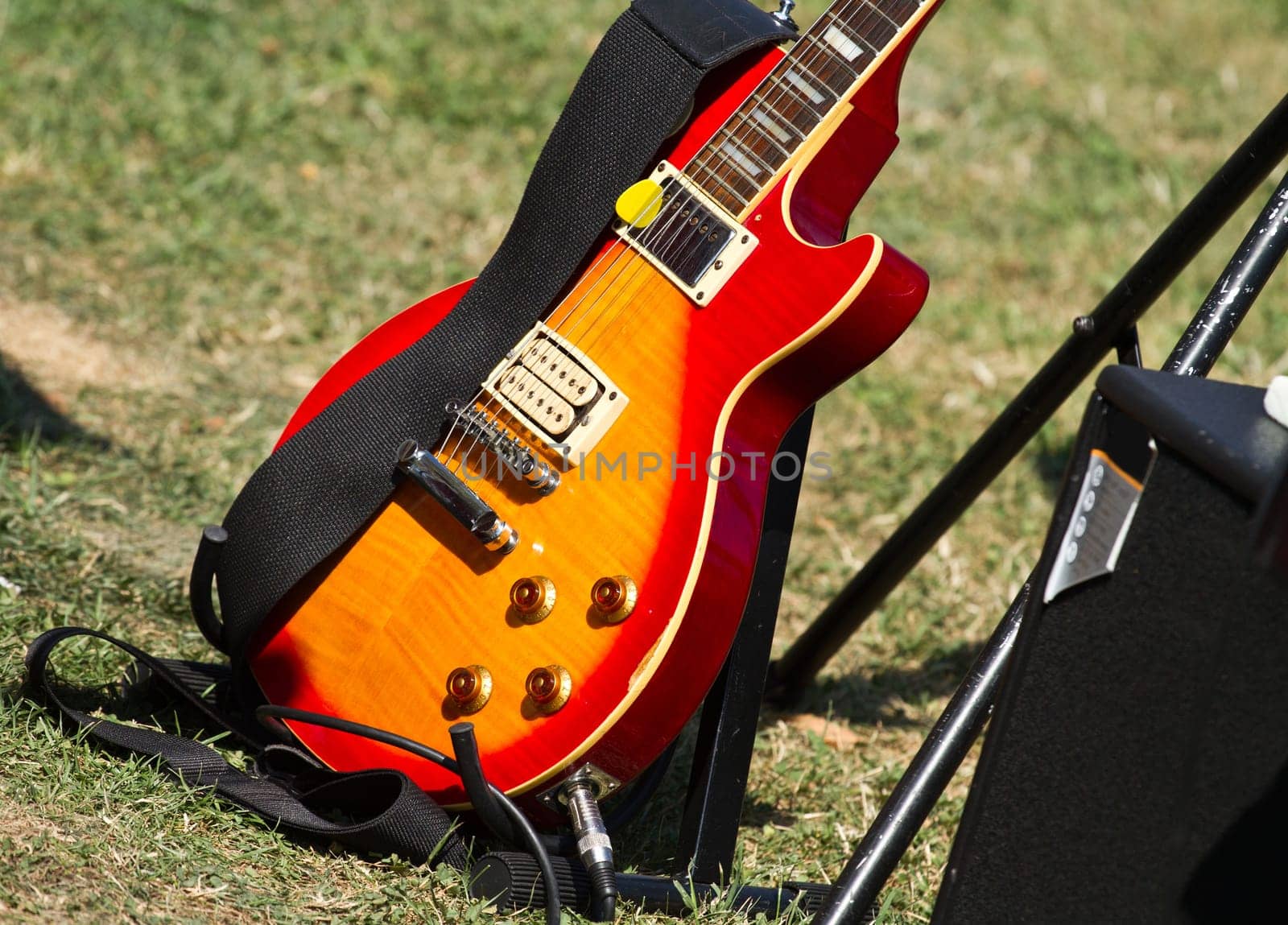 guitar in the green grass