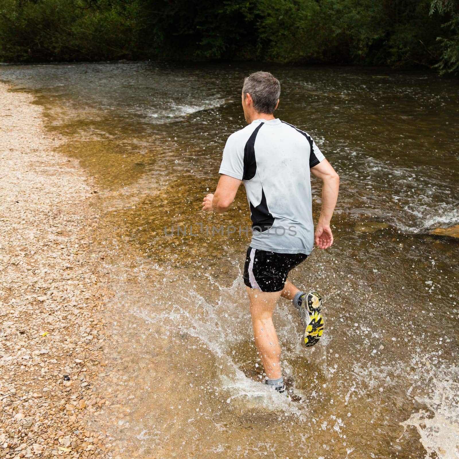 Trail running through a stream