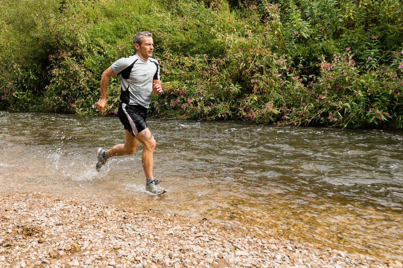 Trail running through a stream