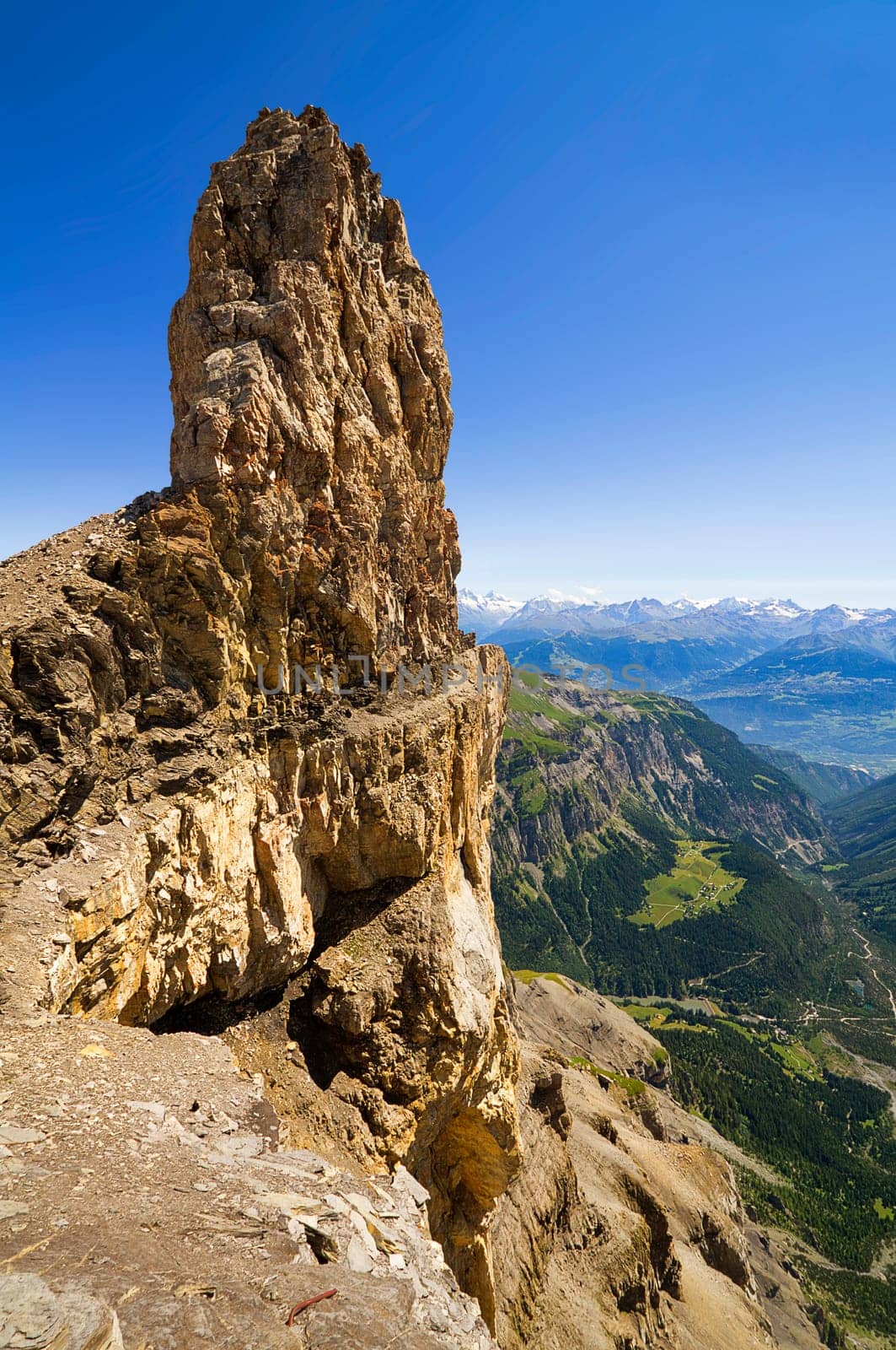 The devil's claw in portrait format