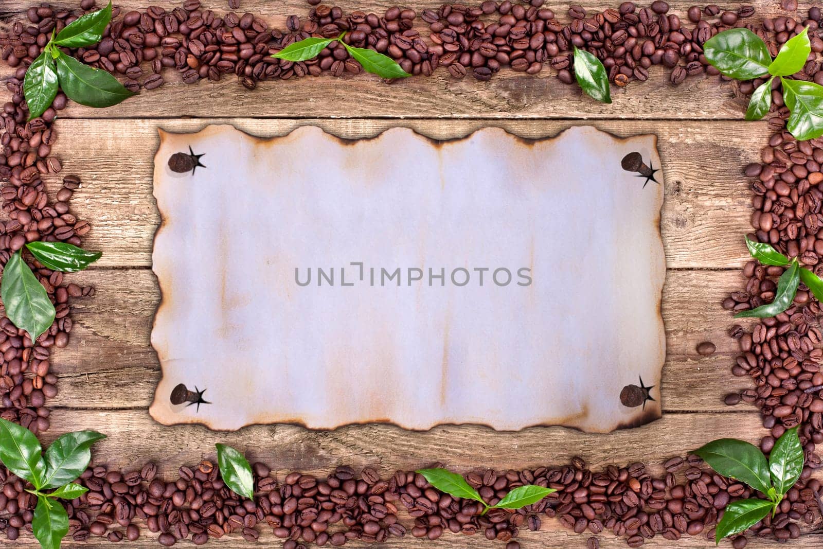 Coffee Surround