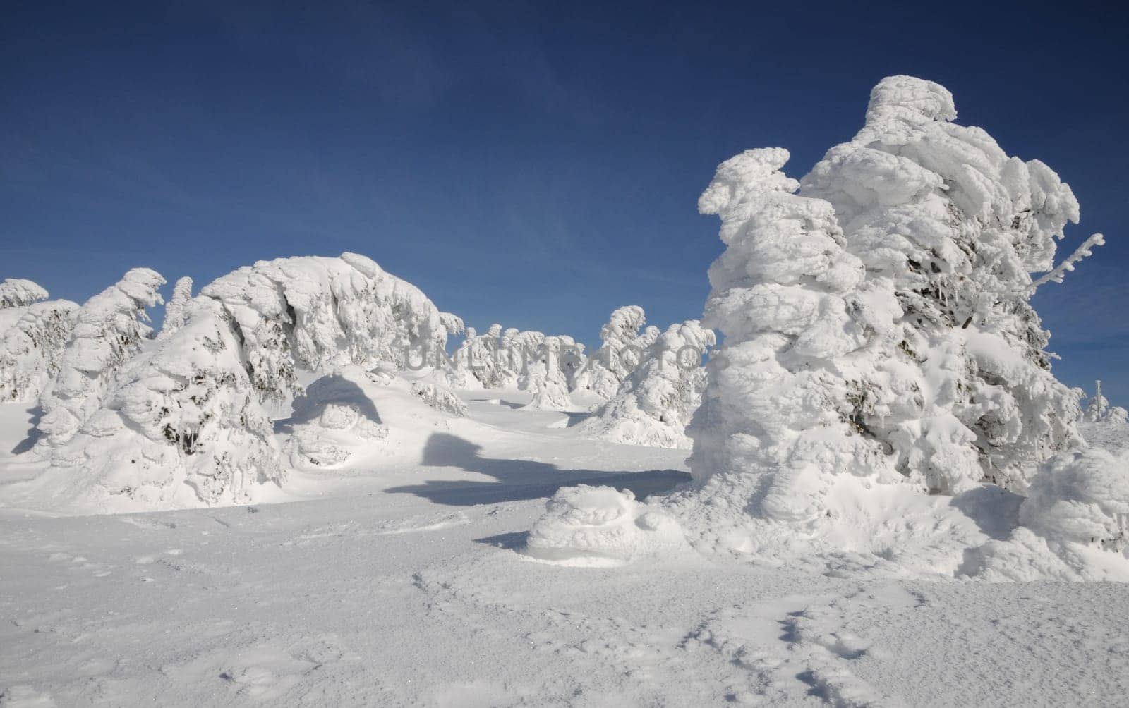Winter on the Brocken...