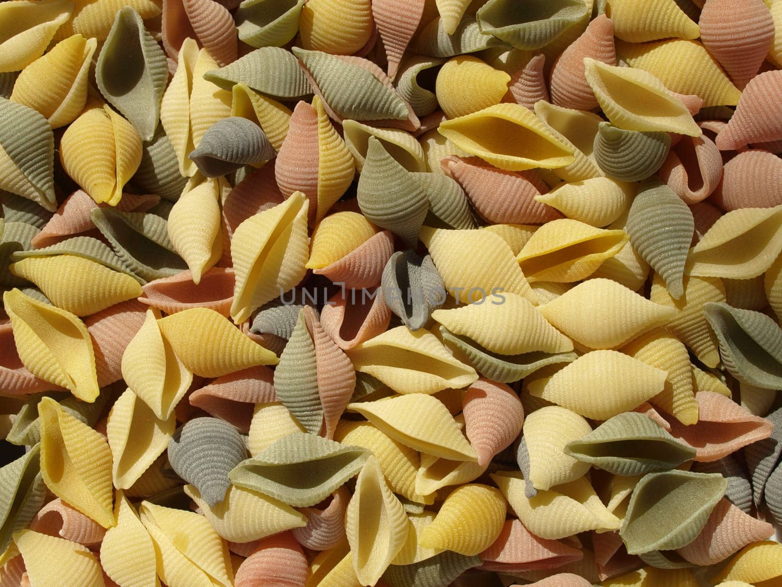 Conchiglie - Seashells