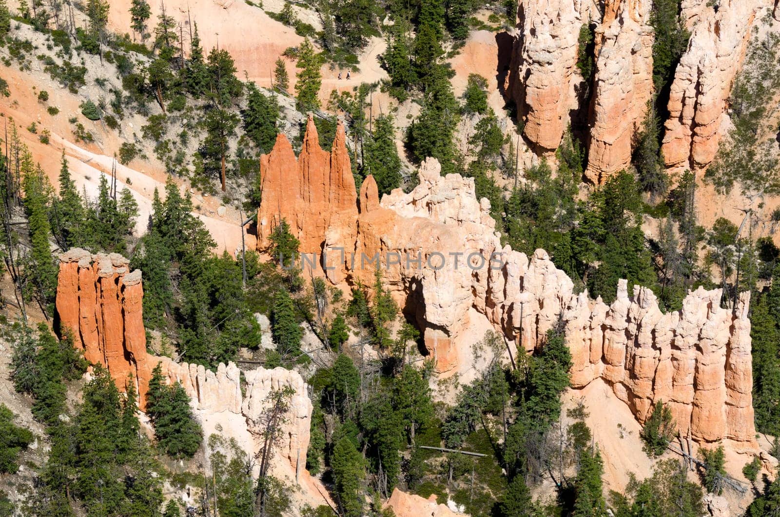 Bryce Canyon in Utah in the United States of America