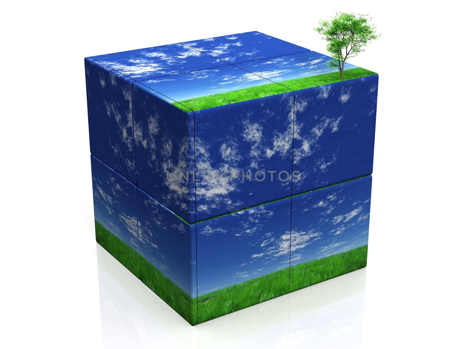 box and tree