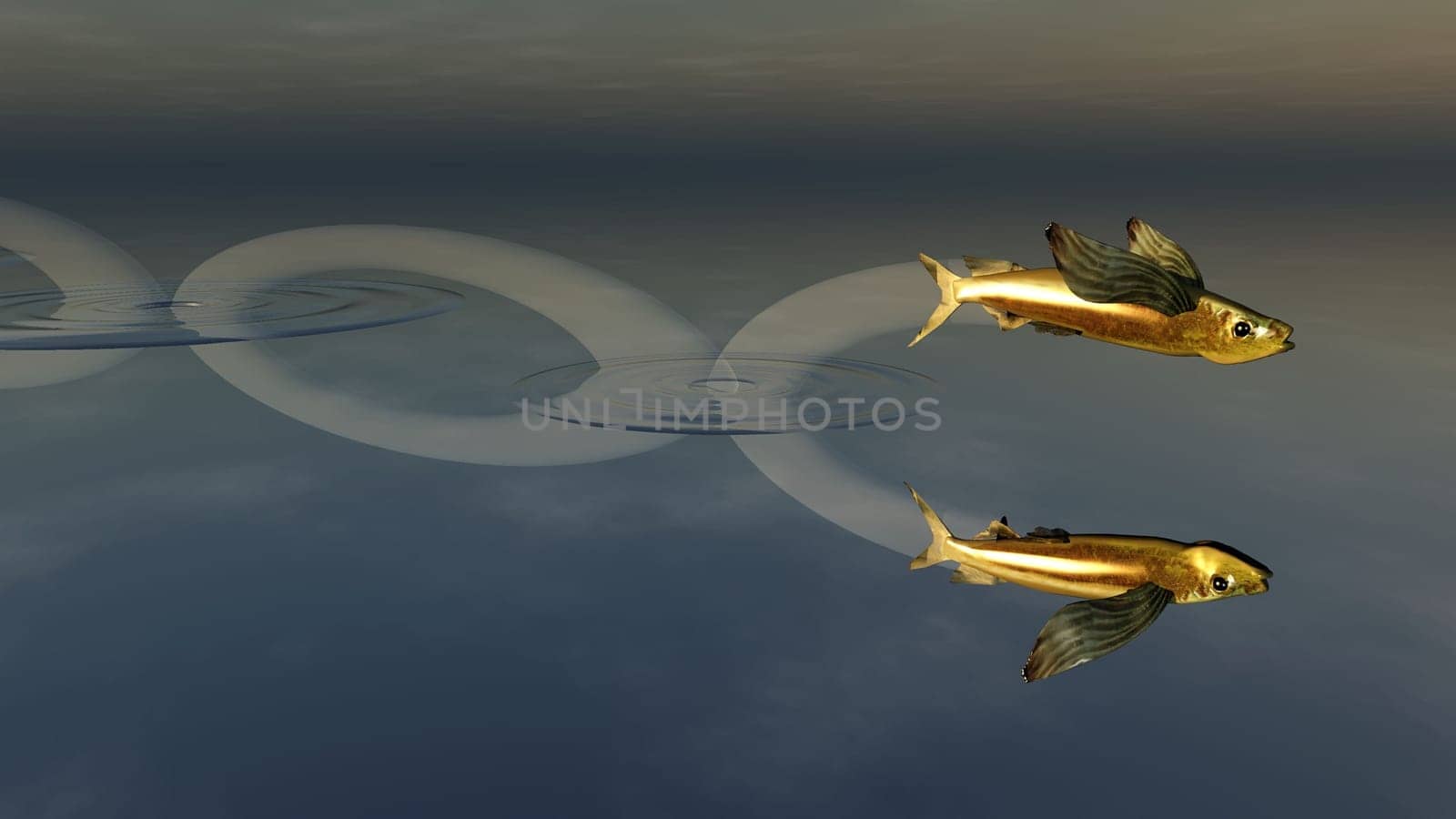 jumping fish