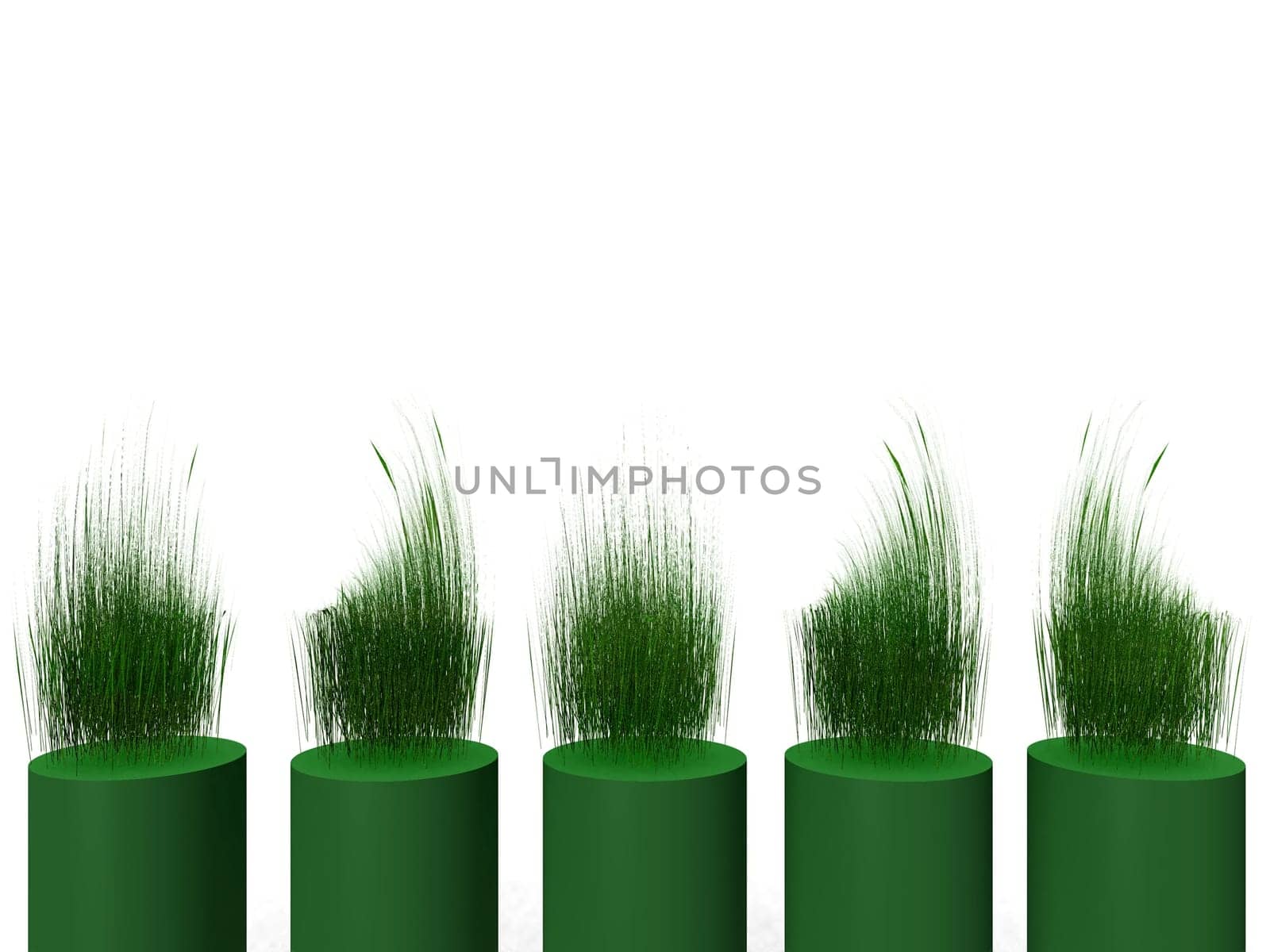 green grass