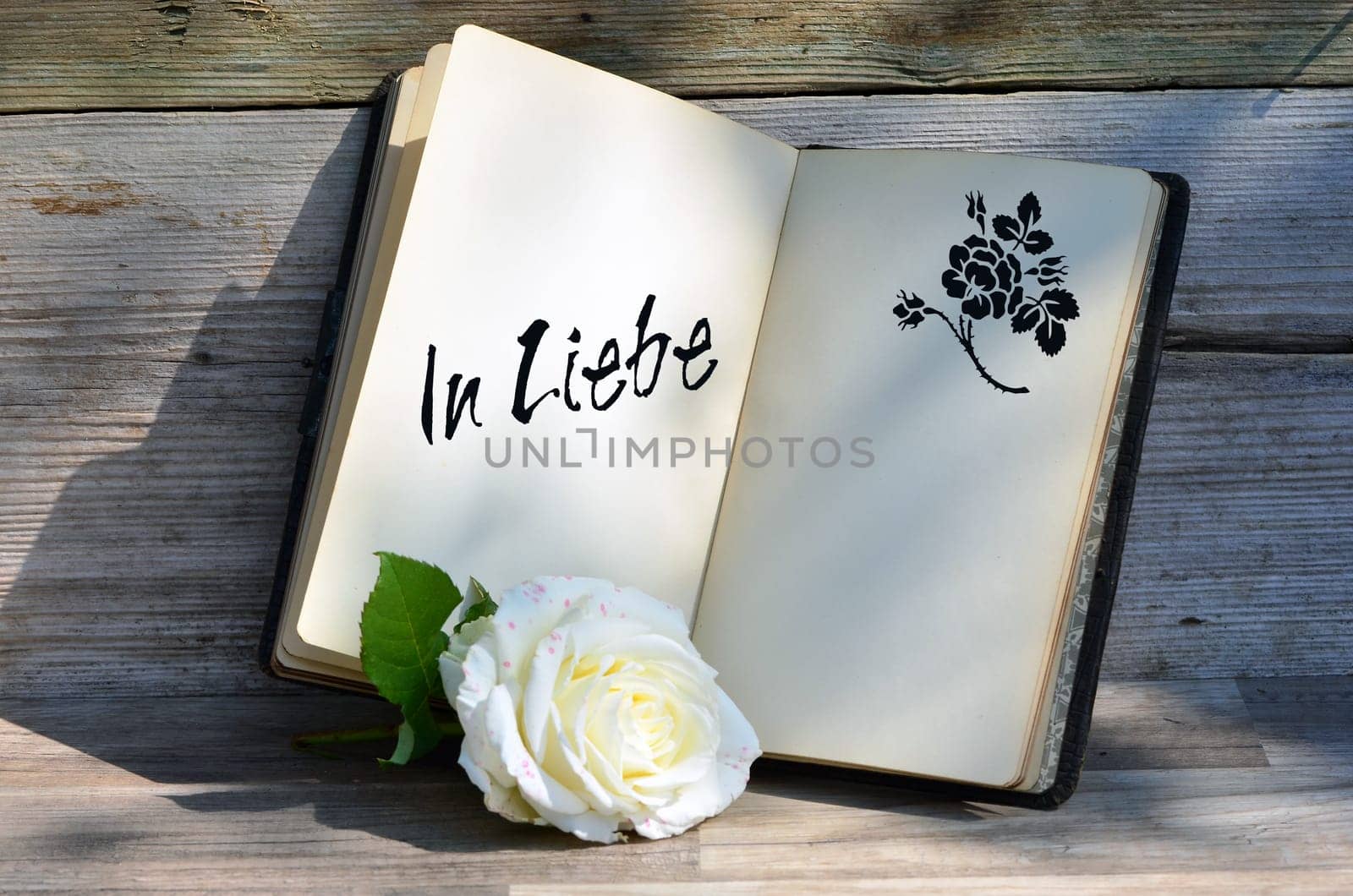 old book with rose and text