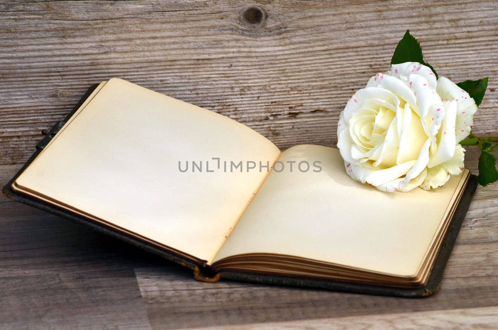 old poetry album rose on old wood background