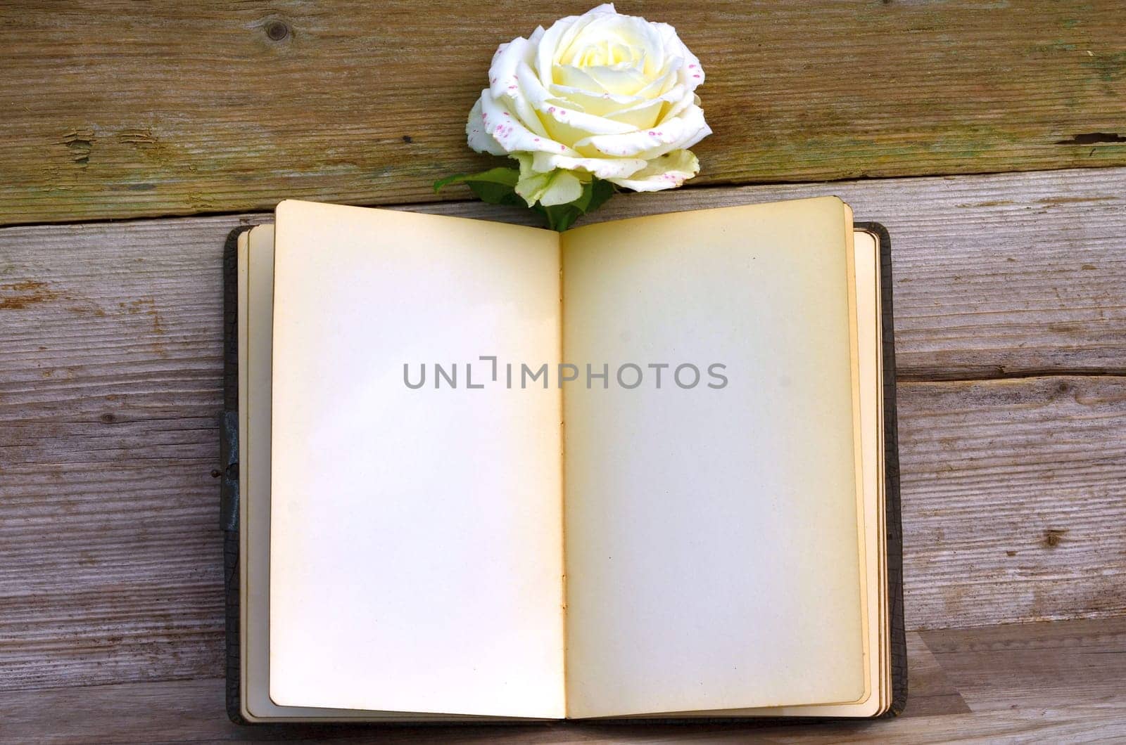 old poetry album rose on old wood background