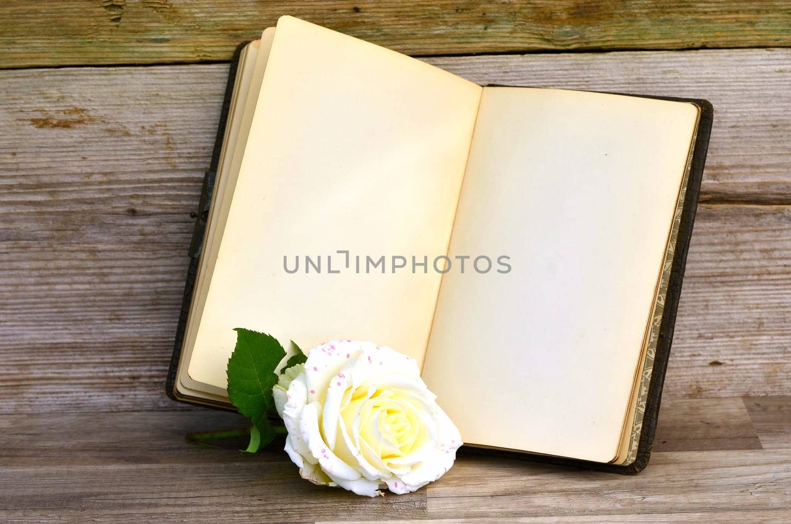 old poetry album rose on old wood background