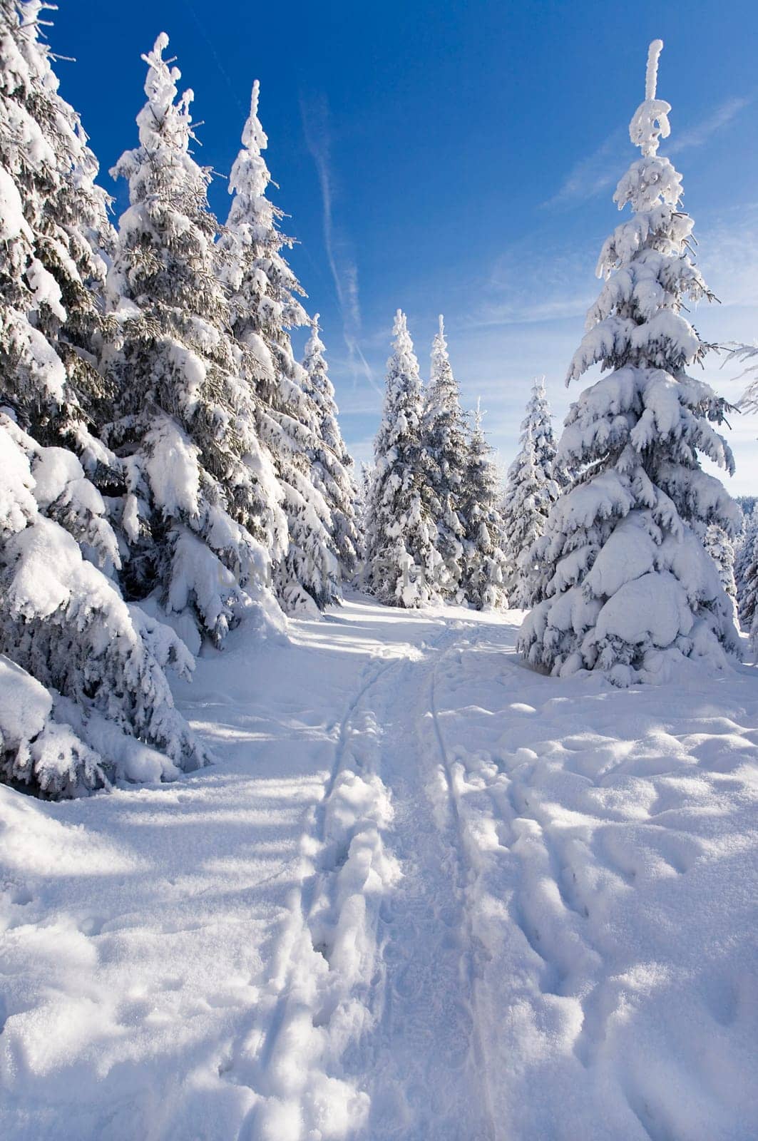 Wintertime