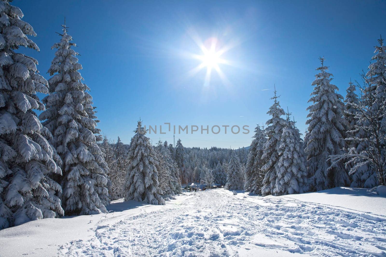Winter sunshine