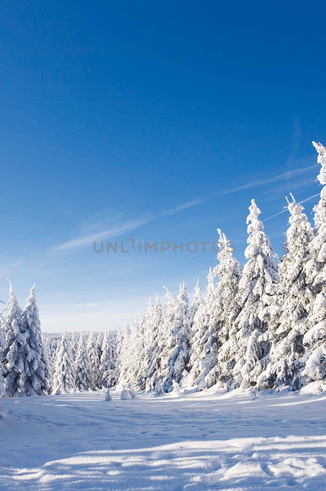 Wintertime