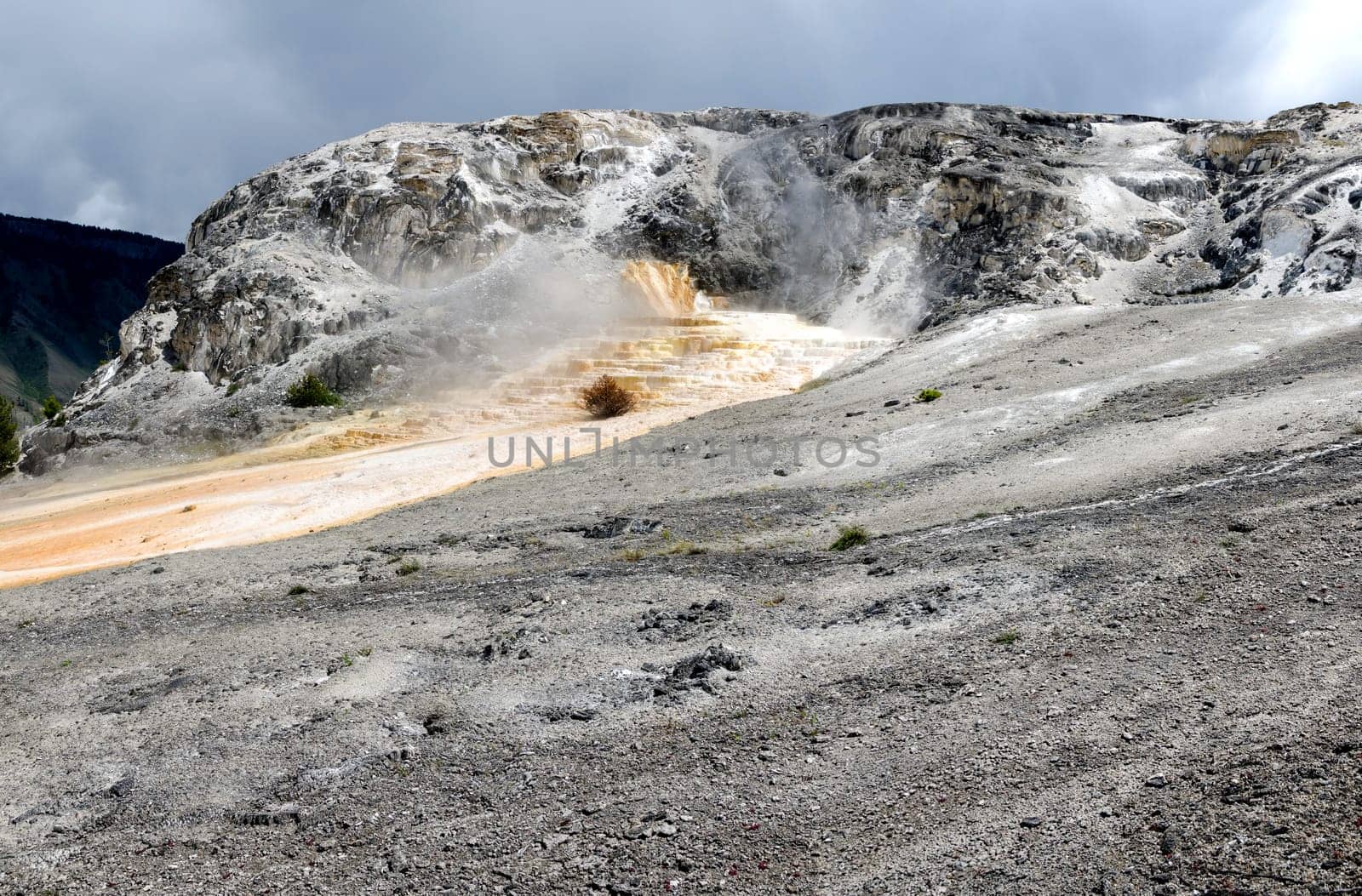 overview of Mammoth Hot Springs in Yellowstone National Park in Wyoming in the United States of America