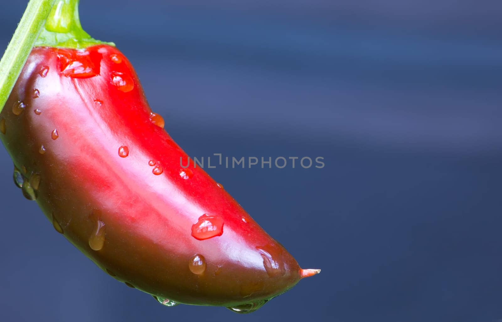 Chili Jalapeno