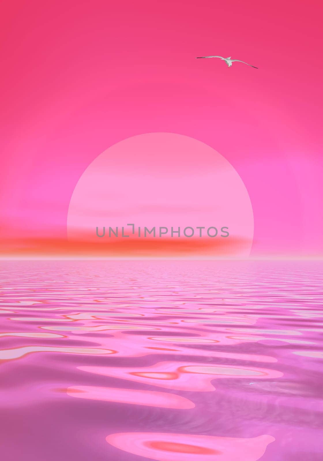 Big pink sun shining while sunset over the ocean with one seagull fliying