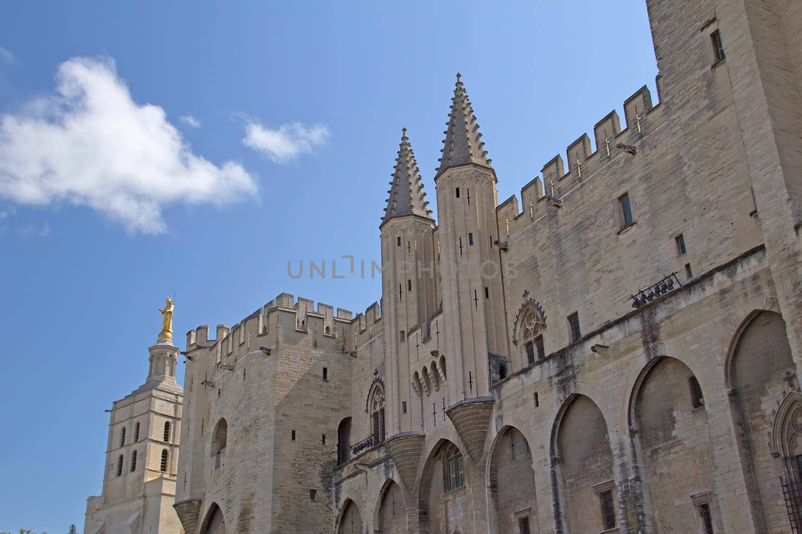 Ancient Avignon Cathedral and Palais des Papes (Avignon, France). Horizontally.