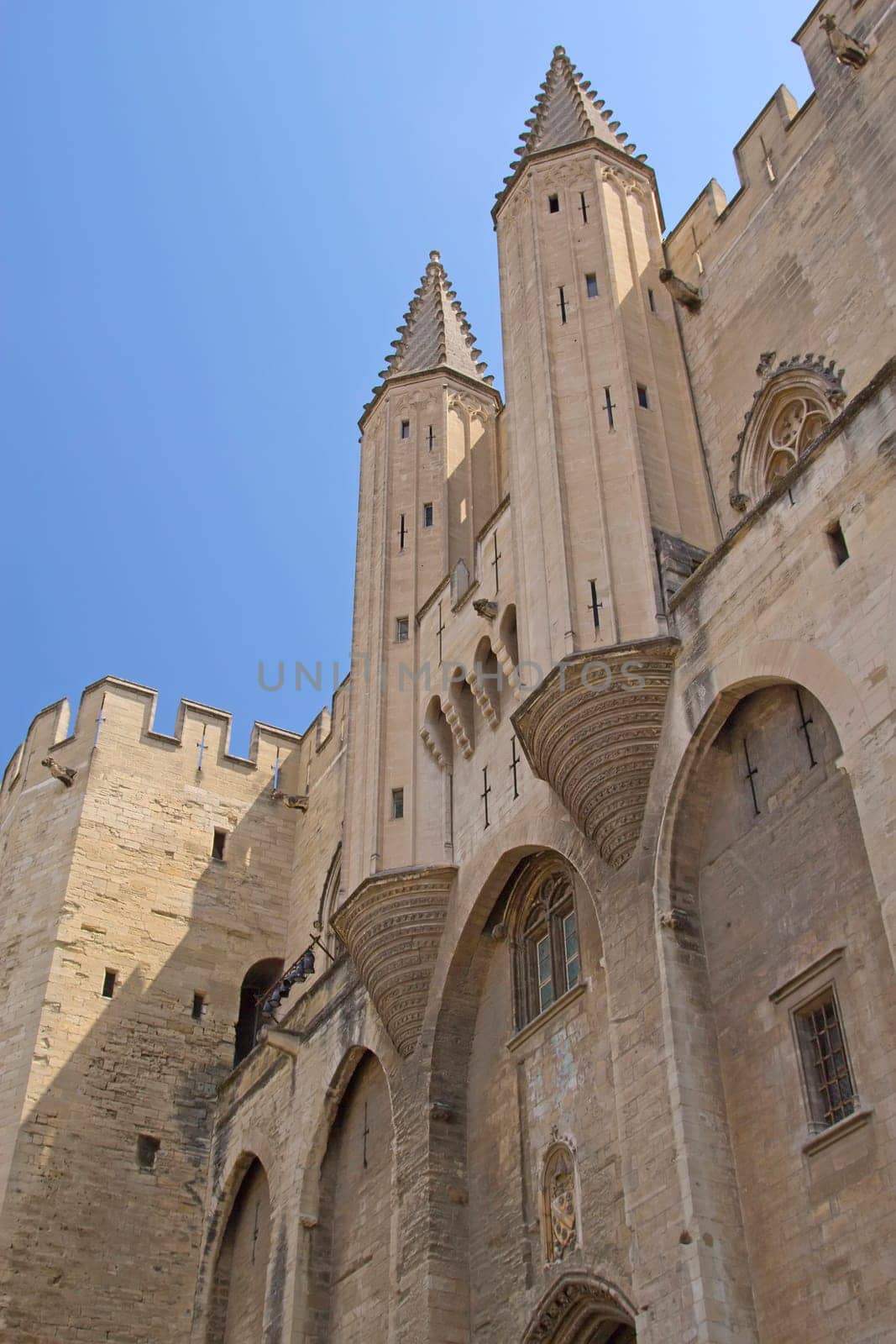 Ancient Avignon Cathedral and Palais des Papes (Avignon, France). Vertically.