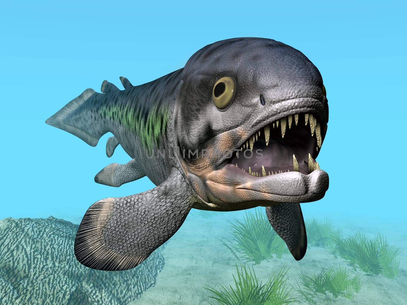 Rhizodus