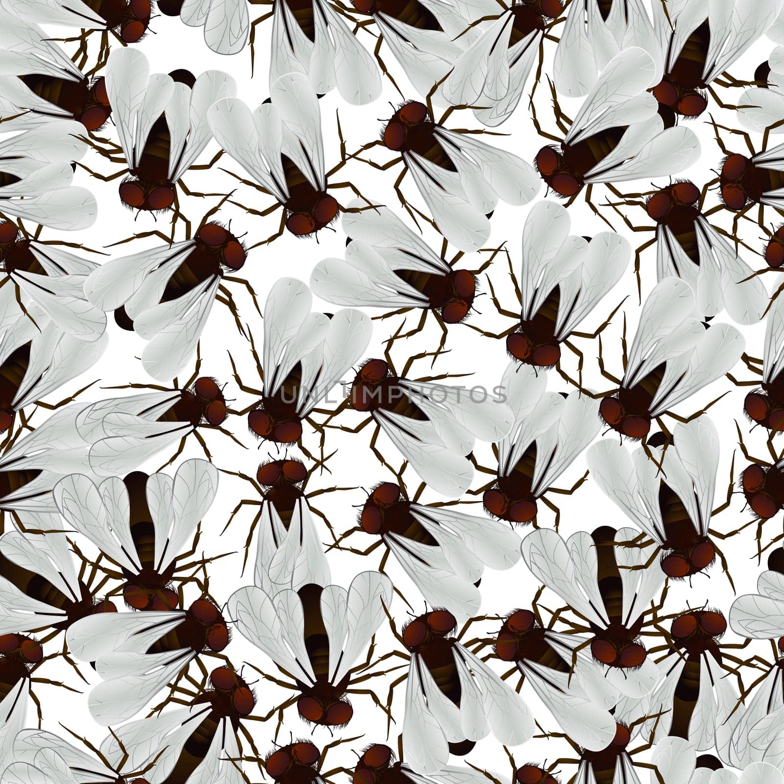 Seamless pattern with house fly.