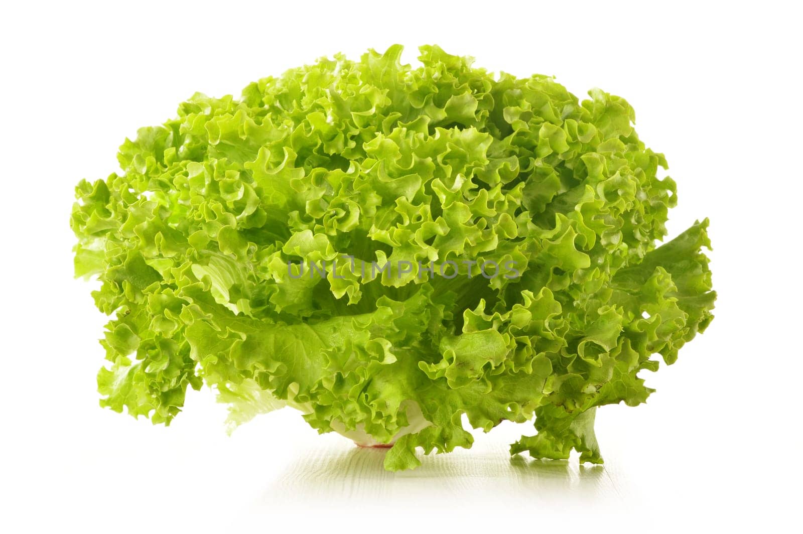 Green leaves lettuce isolated on white background