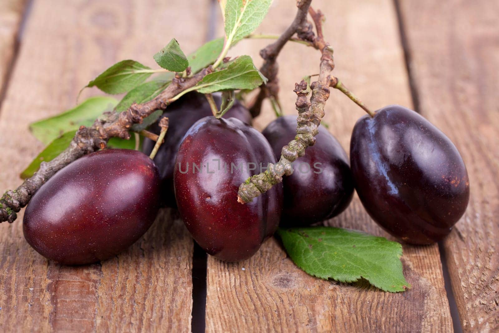 Organic plums