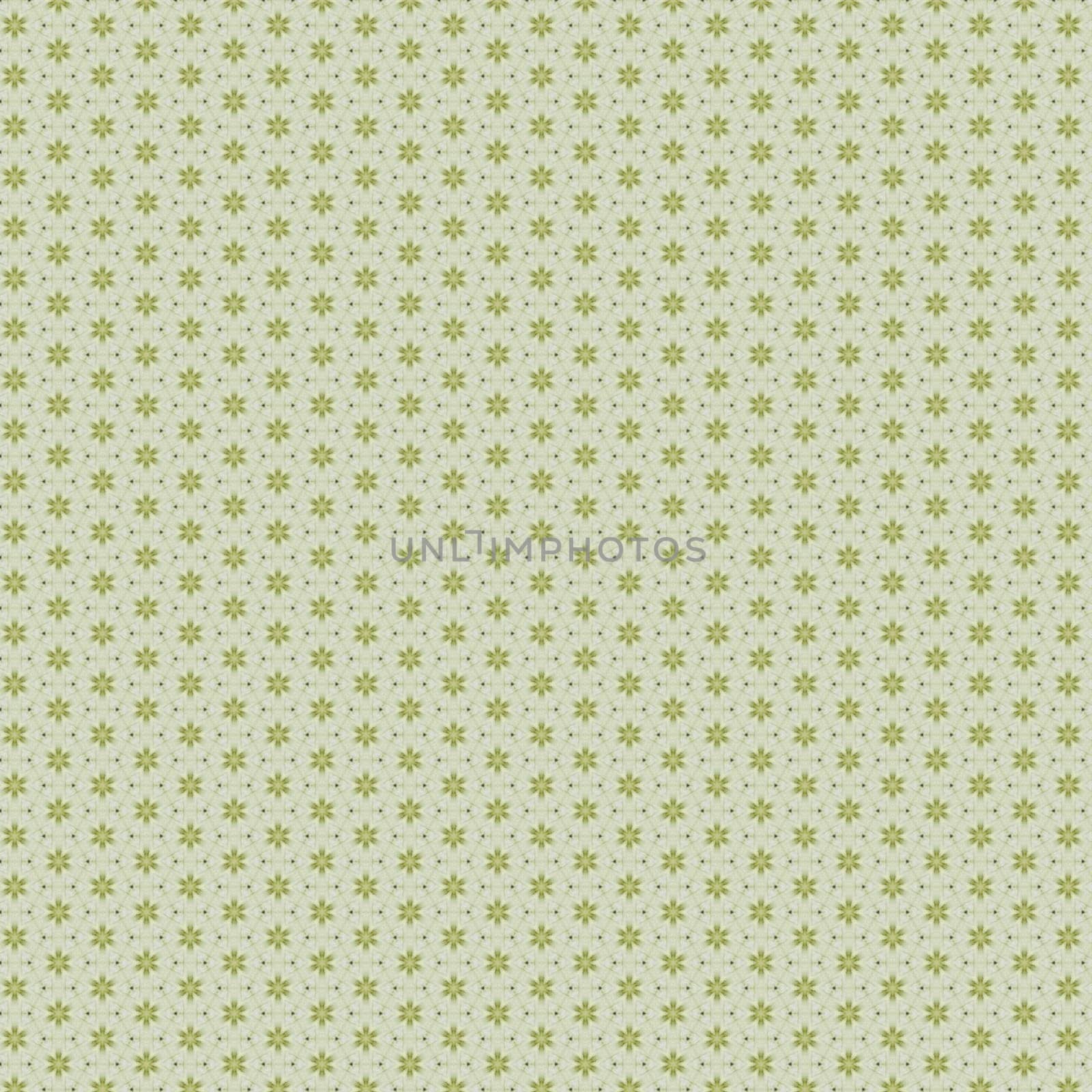 the vintage shabby background with classy patterns