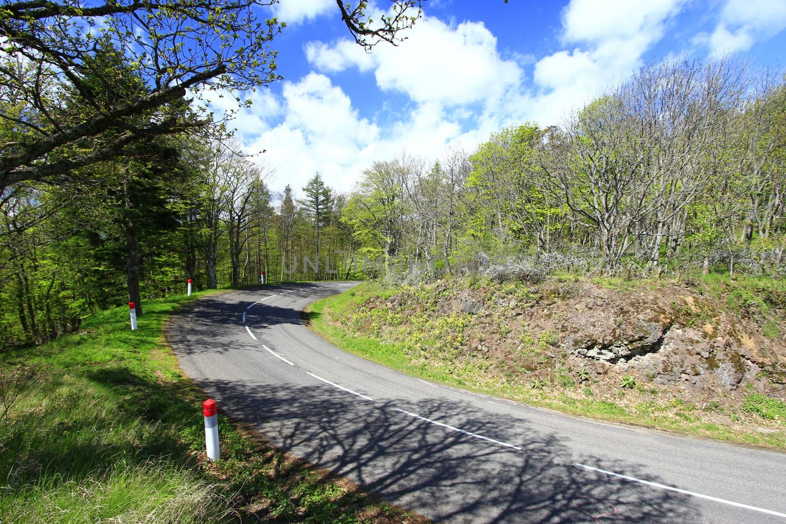 Country road in the Vosges,Alsace,France